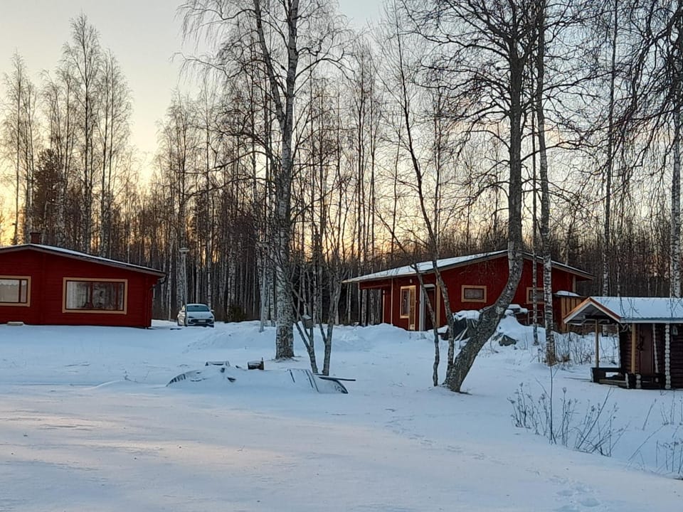 Property building, Winter