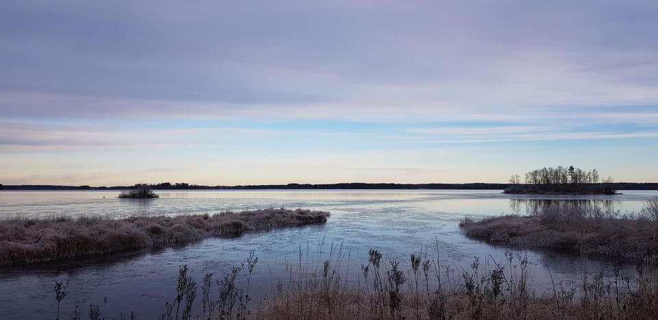 Spring, Natural landscape, Fishing, View (from property/room), Lake view