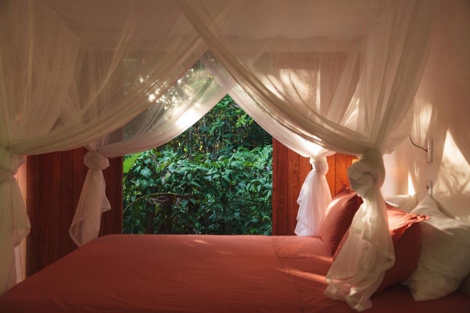 Bed, Natural landscape, Photo of the whole room, Bedroom