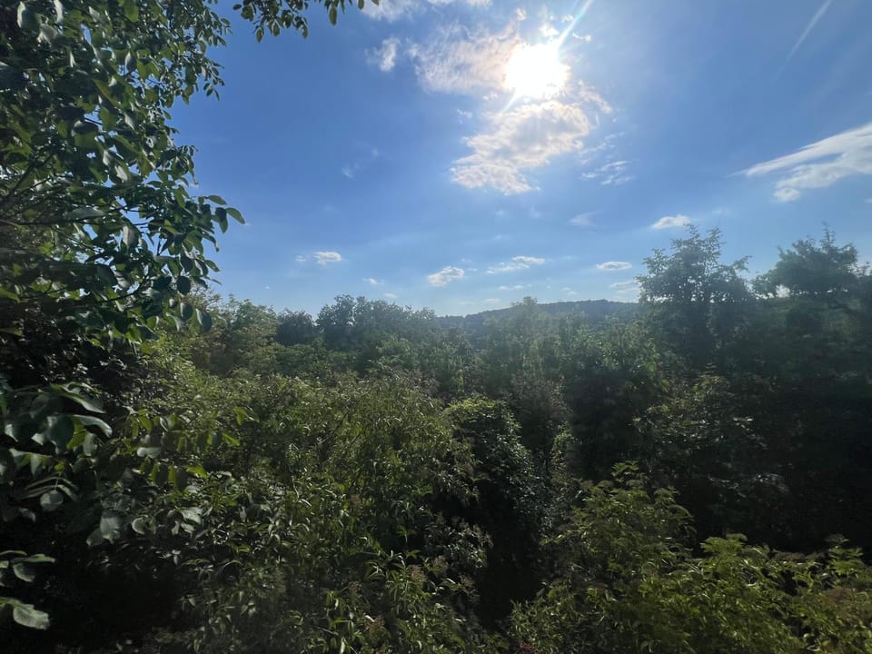 View (from property/room)