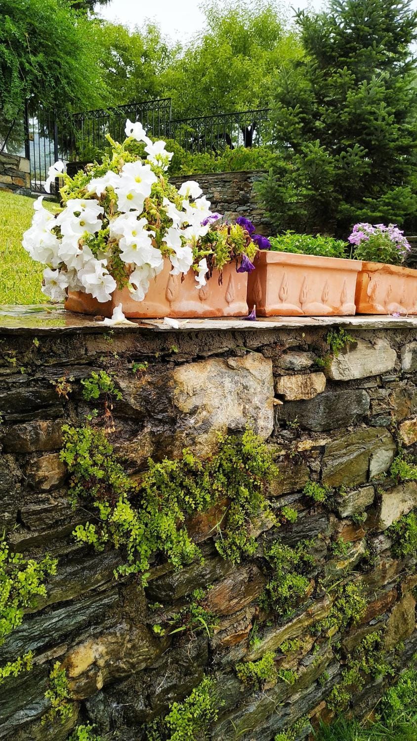 New apartment, amazing view Alli Meria near Pelion Apartment in Magnesia Prefecture, Greece