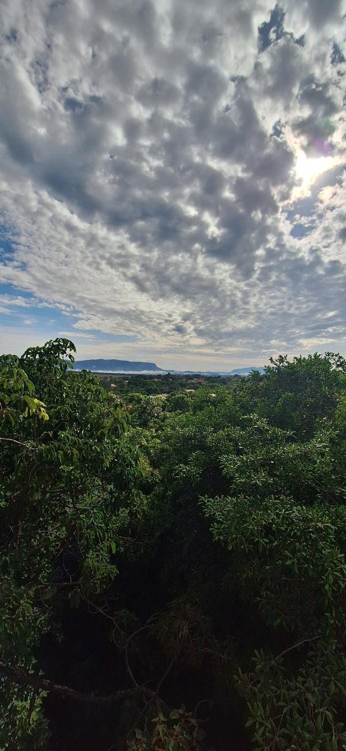 Natural landscape, Bird's eye view
