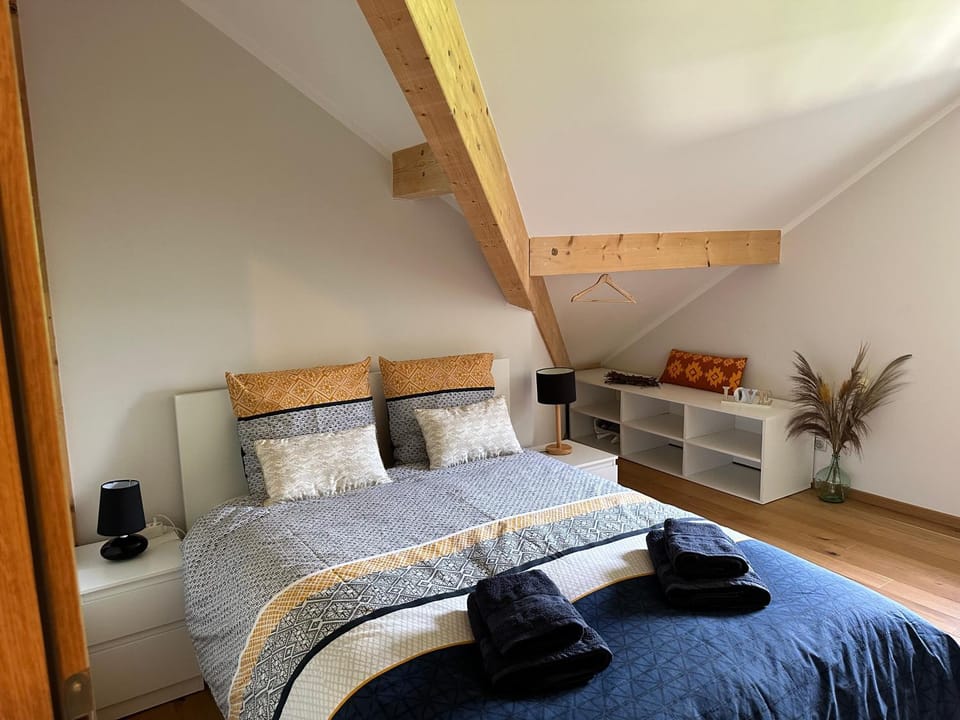 Appartement, 20m du lac Conjux, vue lac Apartment in Haute-Savoie