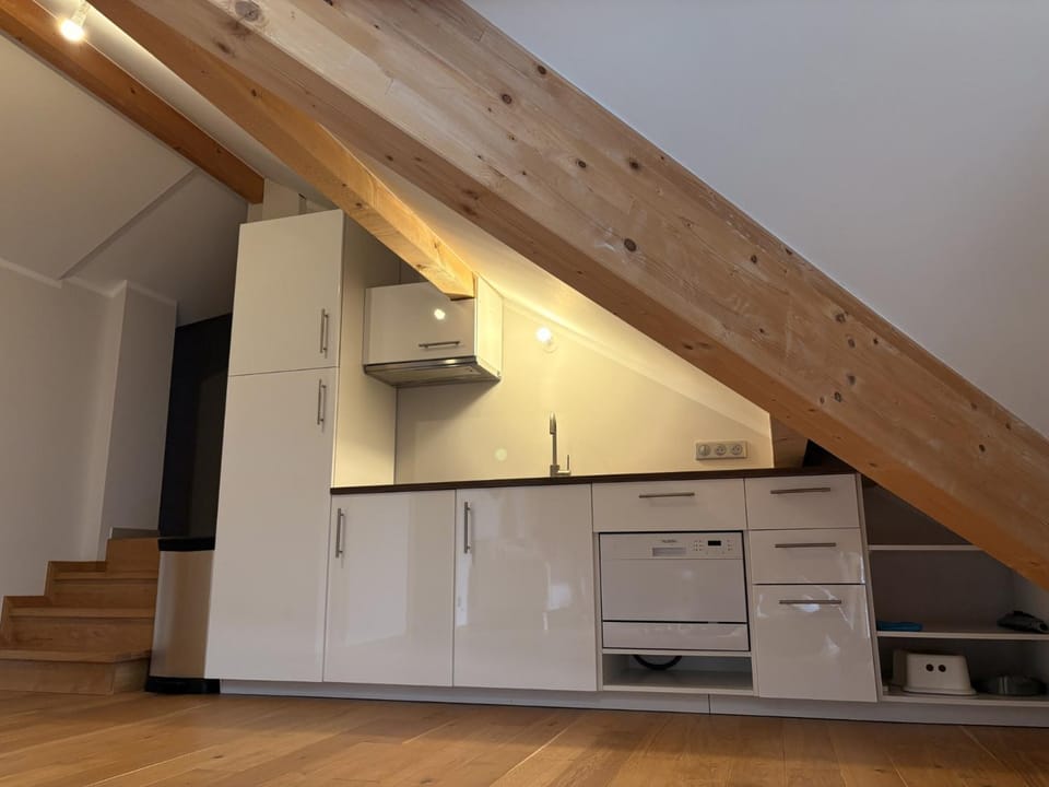 dishwasher, stove