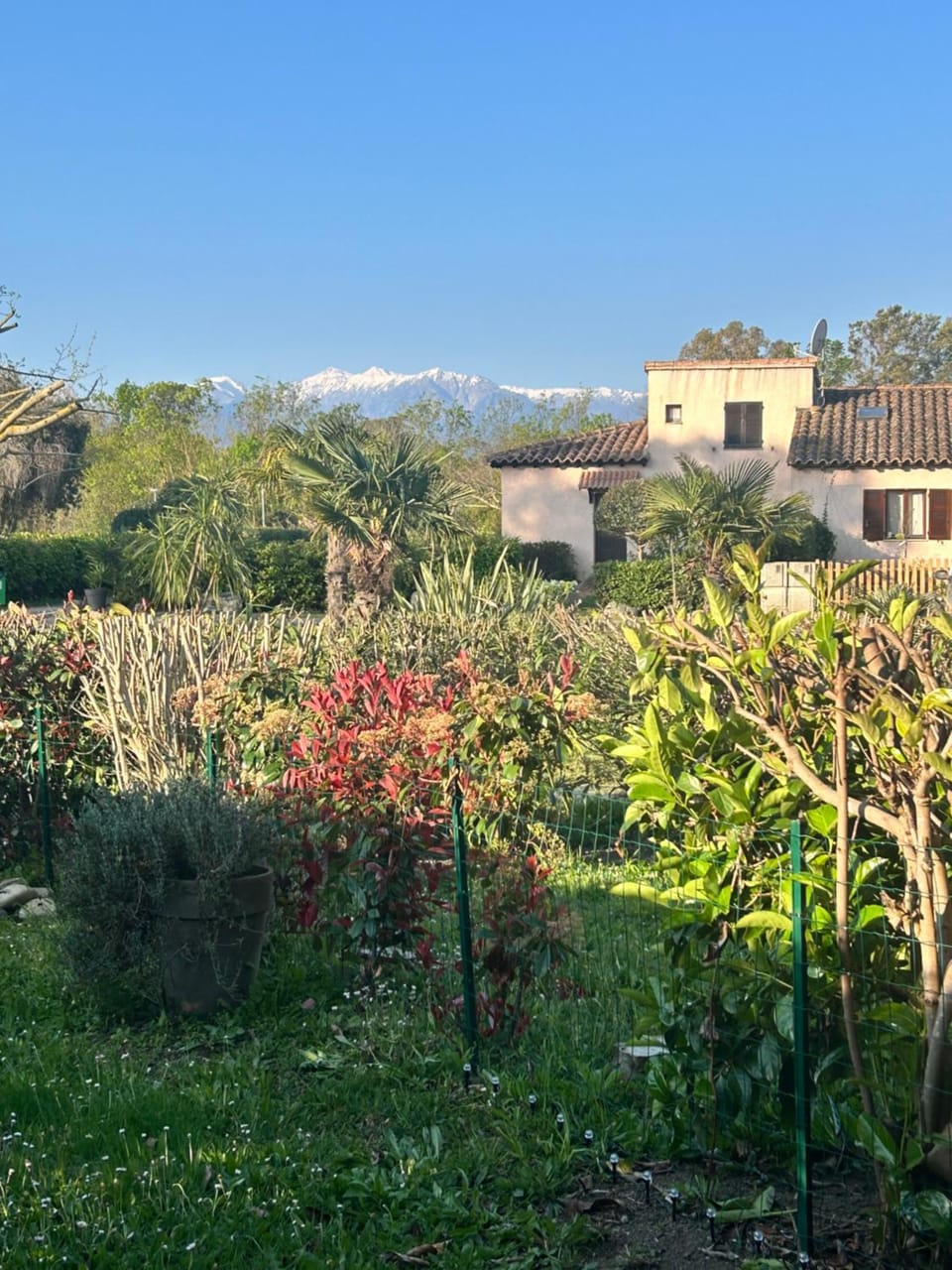 Garden view