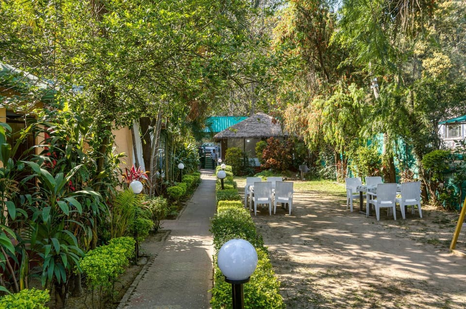 Garden view