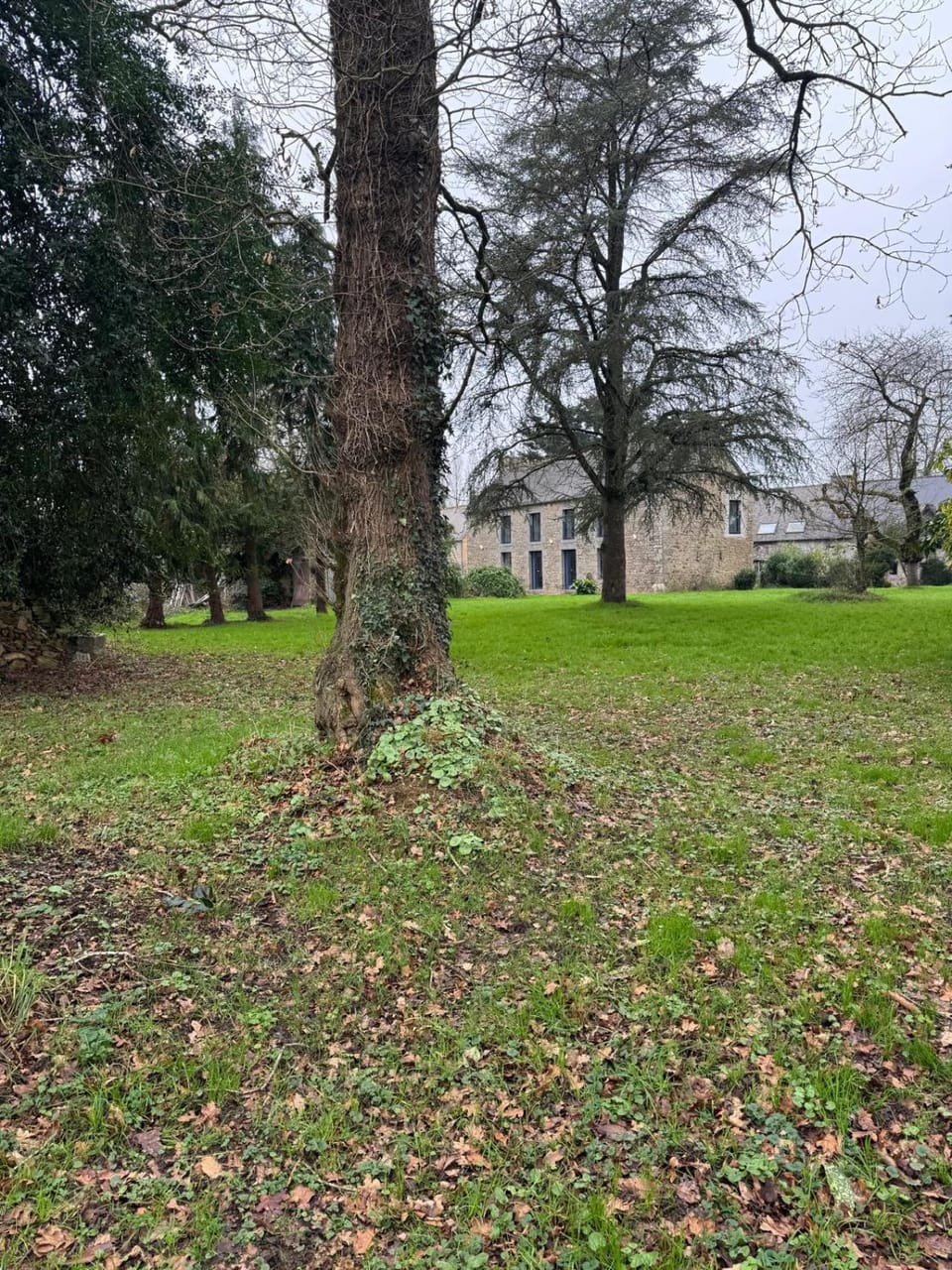 Garden, Garden view