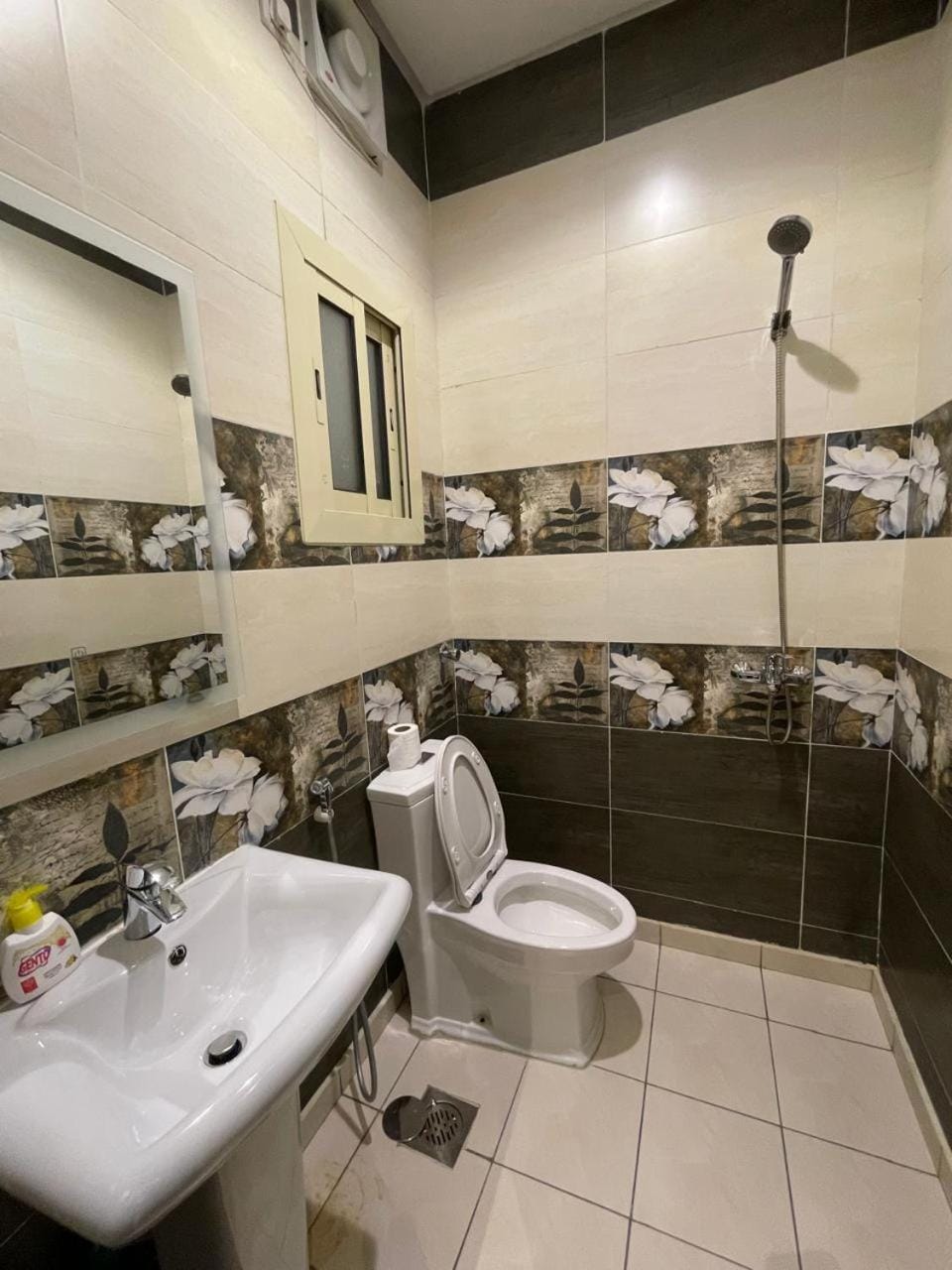 Shower, Toilet, Bathroom, bidet