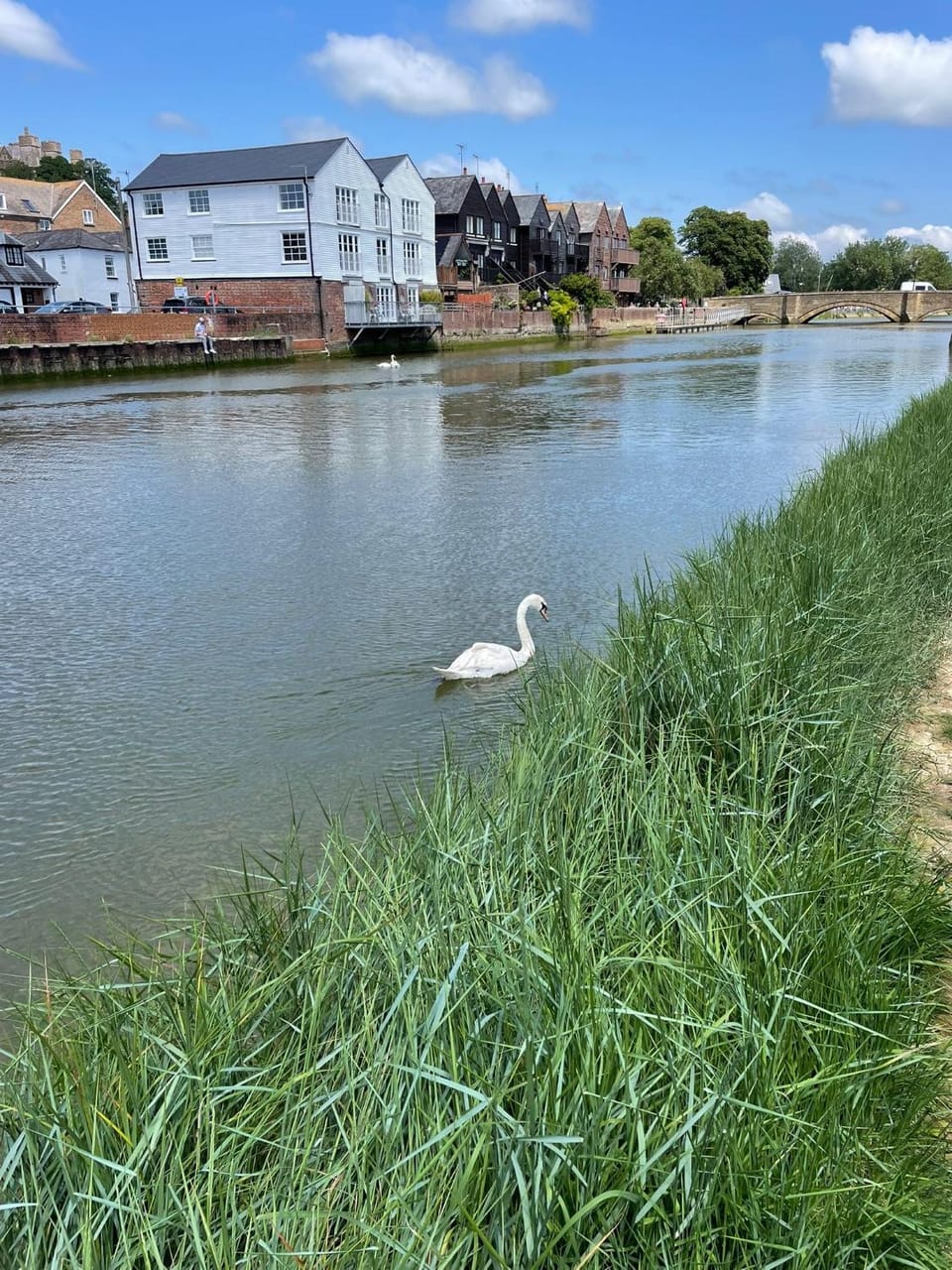 River view
