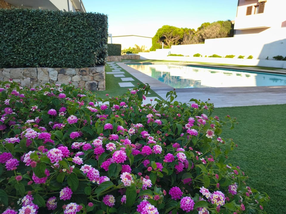 Garden, Garden view, Swimming pool