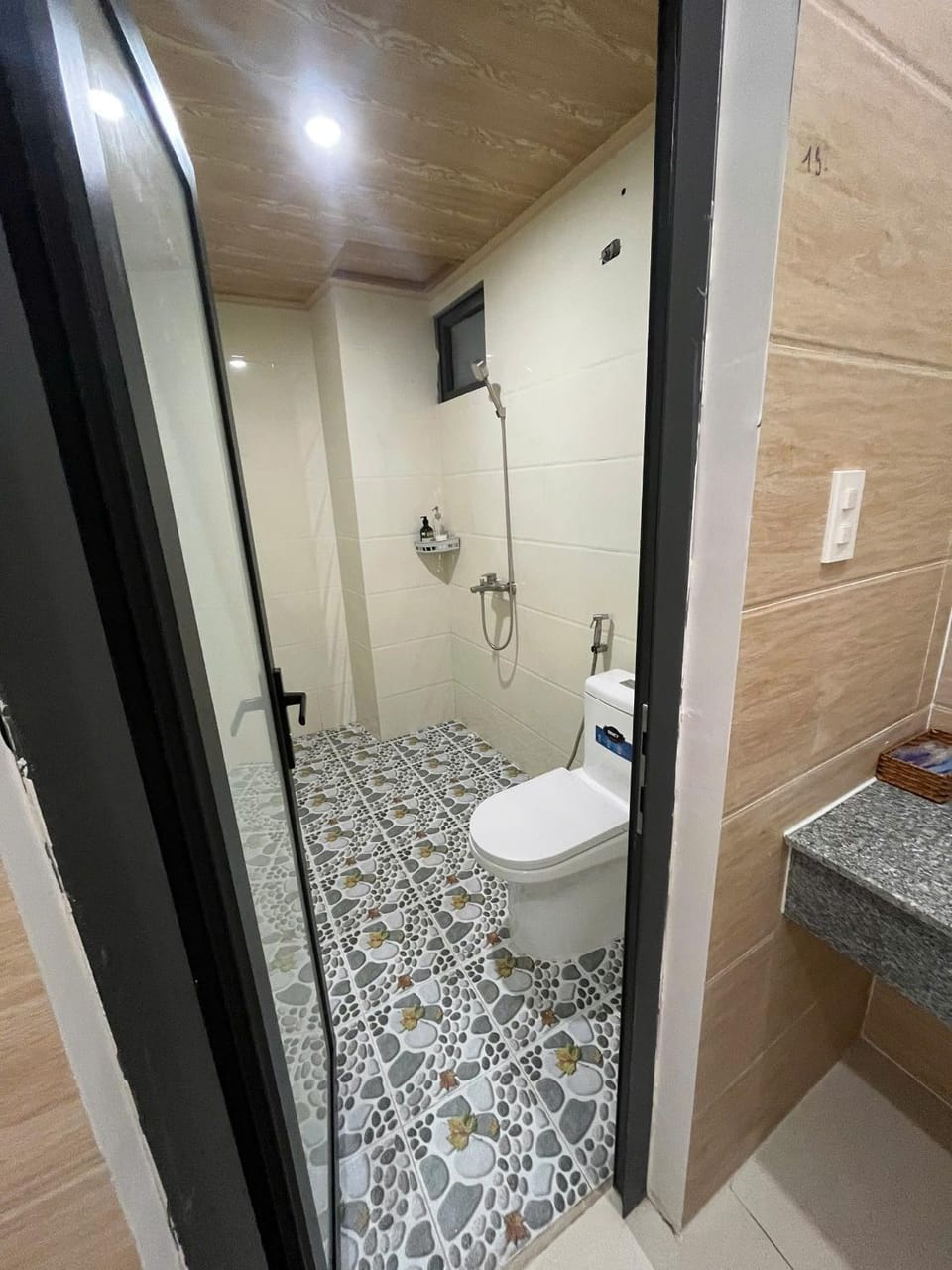 Shower, Toilet
