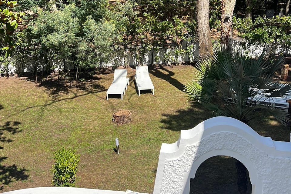 Spring, Day, Natural landscape, Garden, Garden view