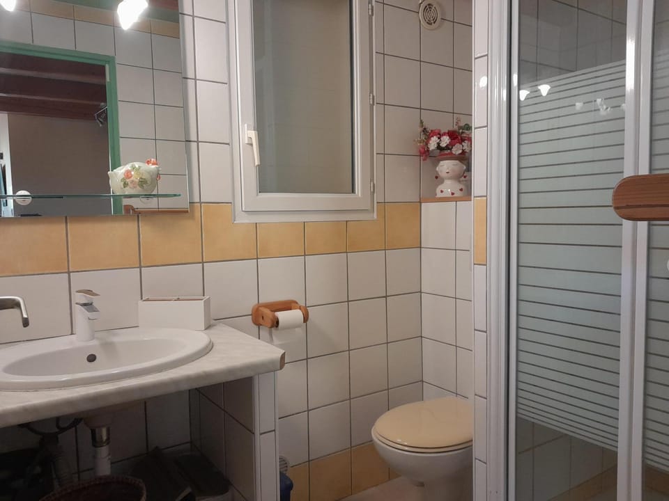 Shower, Toilet, Bathroom, hair dryier