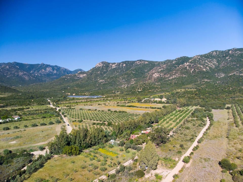 Natural landscape
