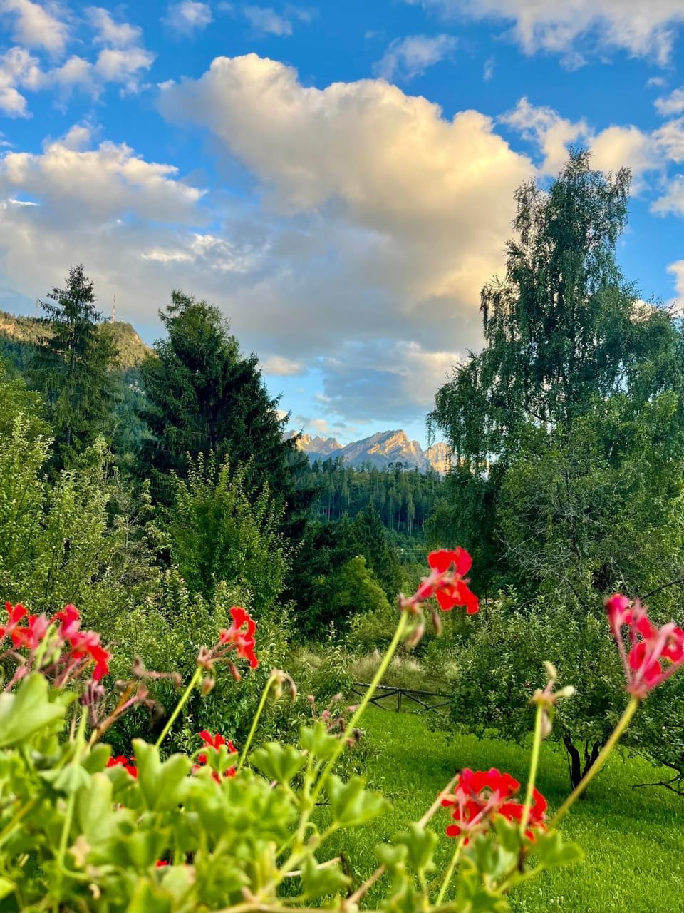 Garden view