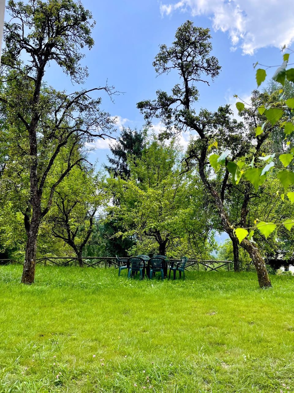Garden, Garden view