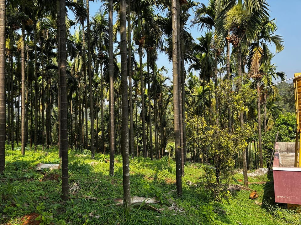 Garden view