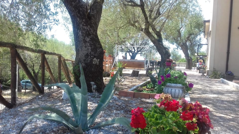 Petrus Cilento Rooms Bed and Breakfast in Basilicata