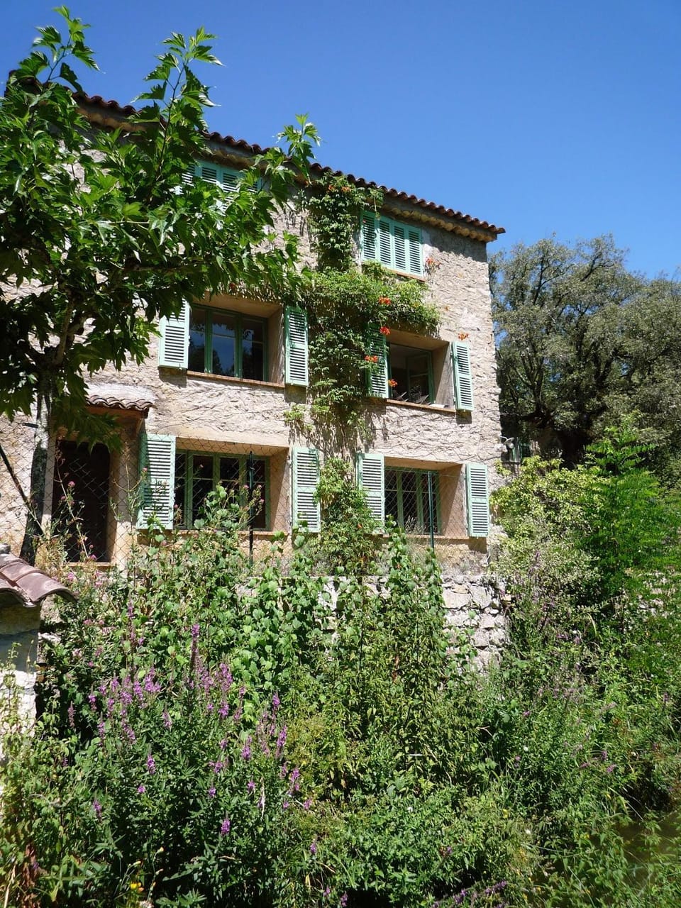Property building