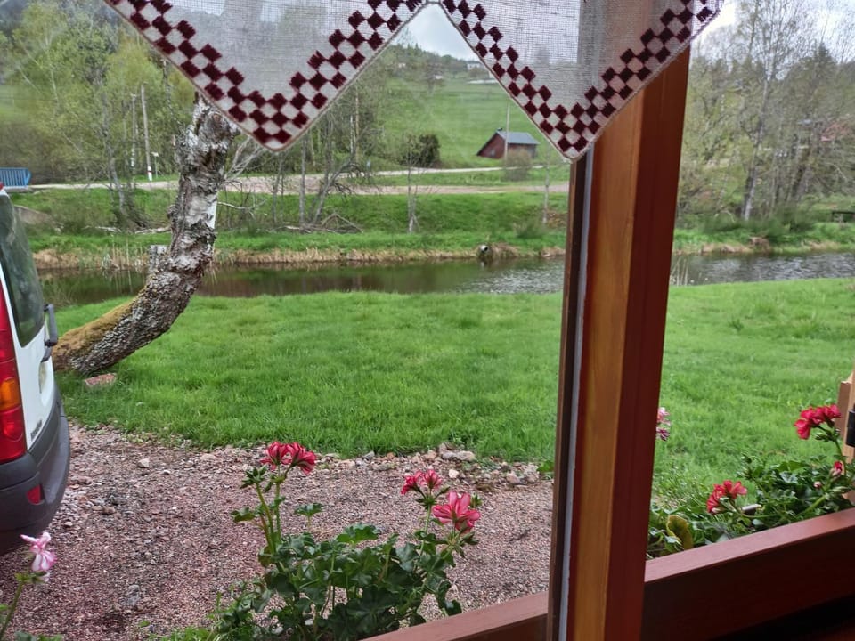 View (from property/room)