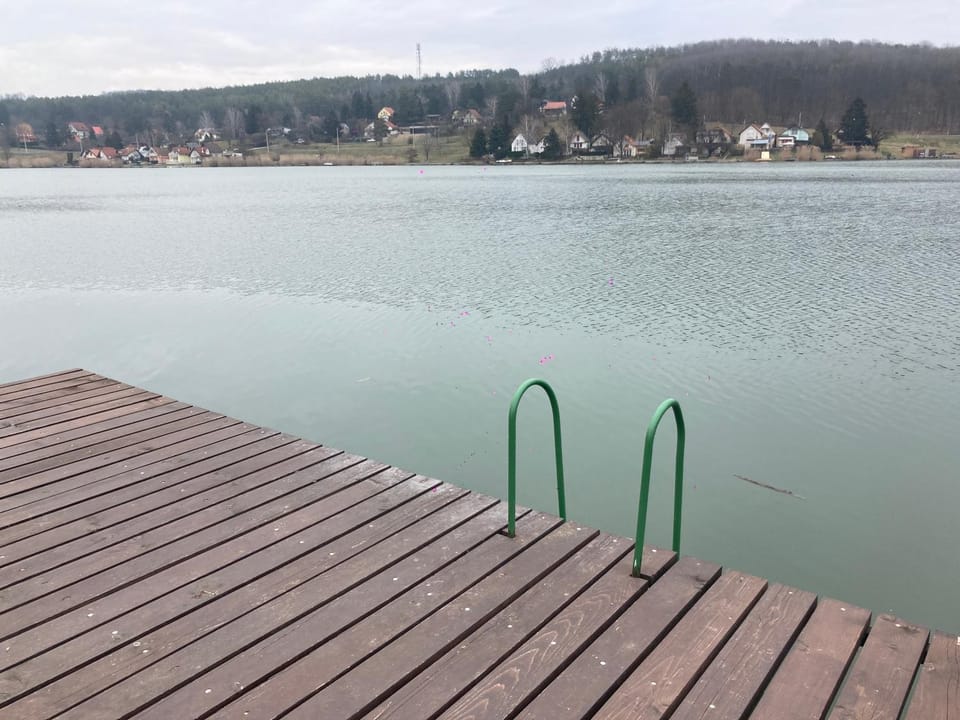 Lake view