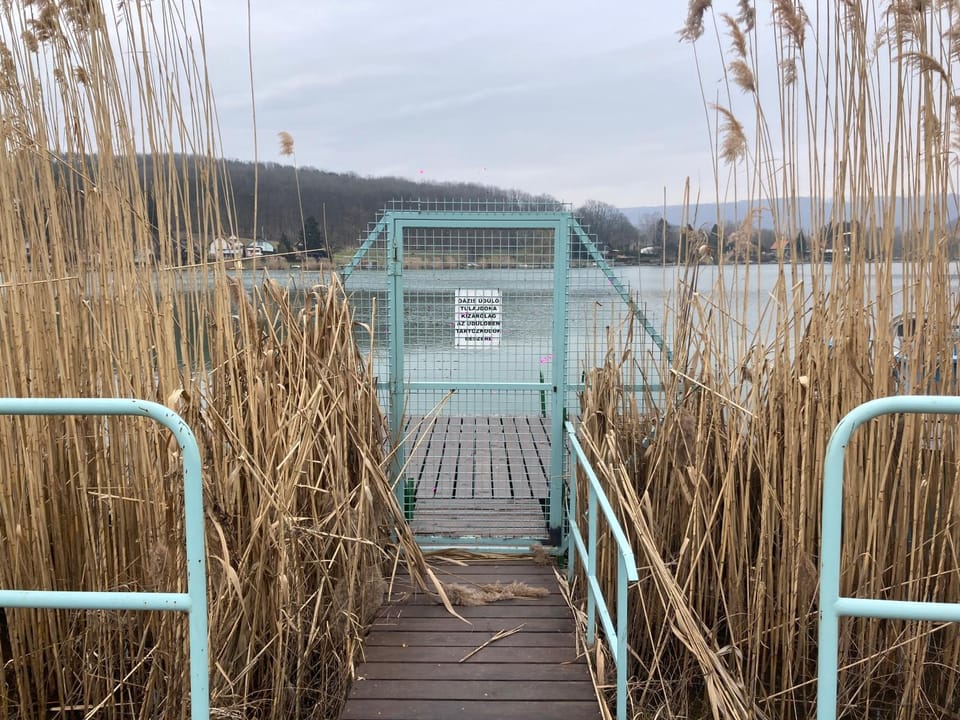 Lake view