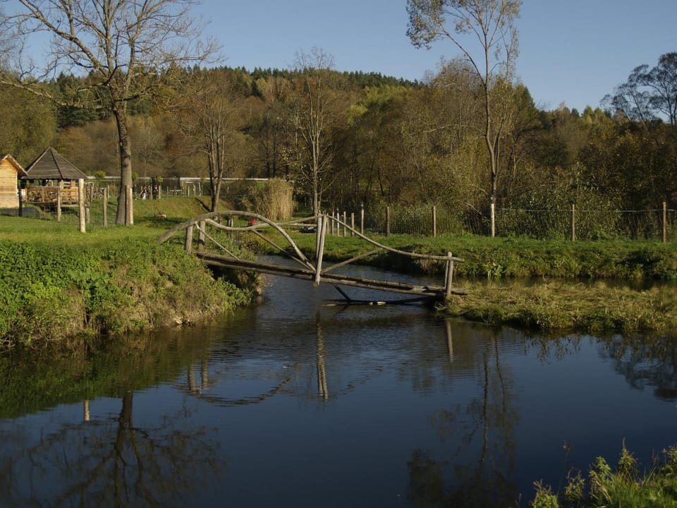 Lake view