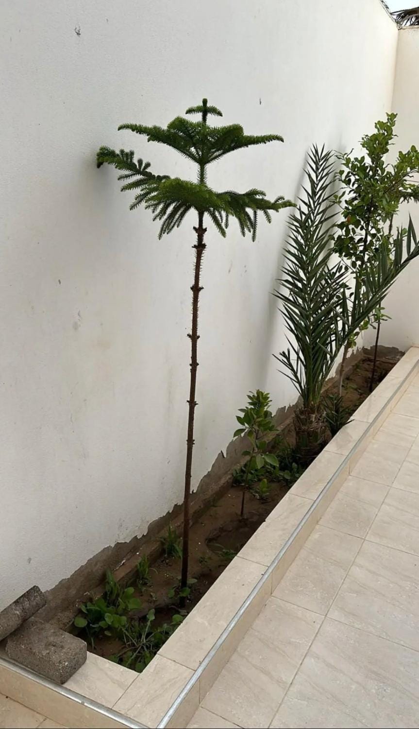 Casa de playa Apartment in Marrakesh-Safi