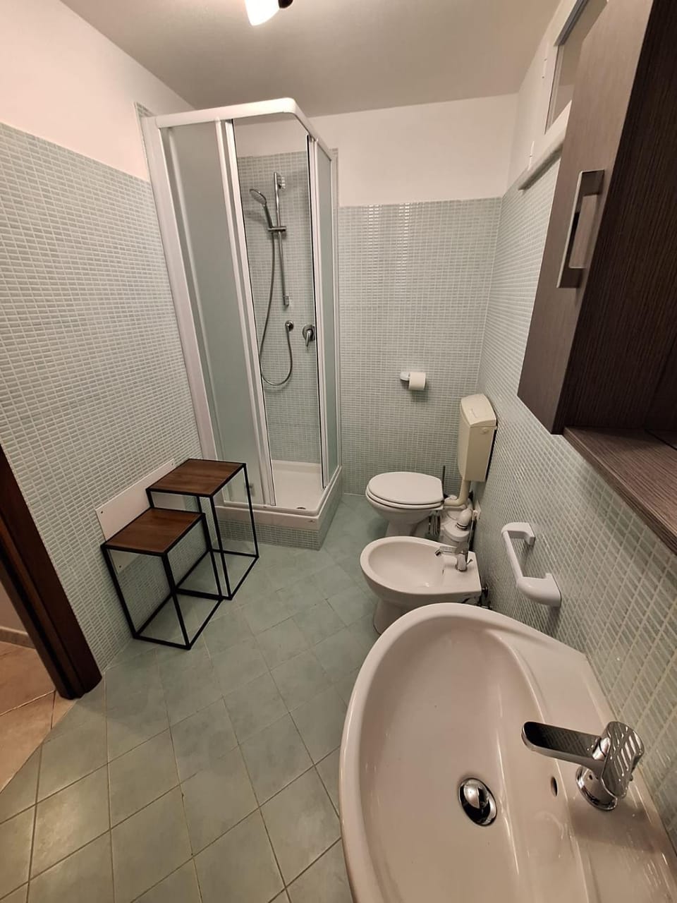 Shower, bidet