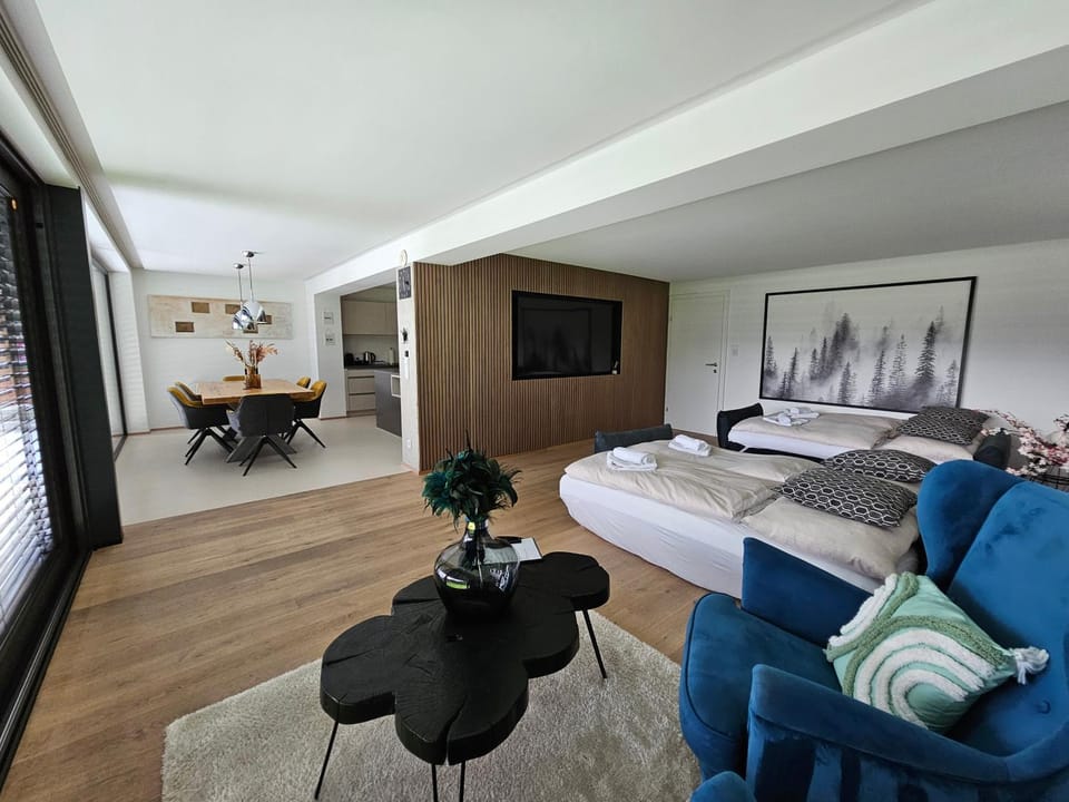 Living room, Photo of the whole room, Seating area