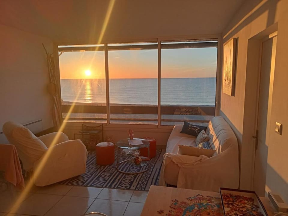 Le Paradis Bleu ! Apartment in Saint-Cyprien