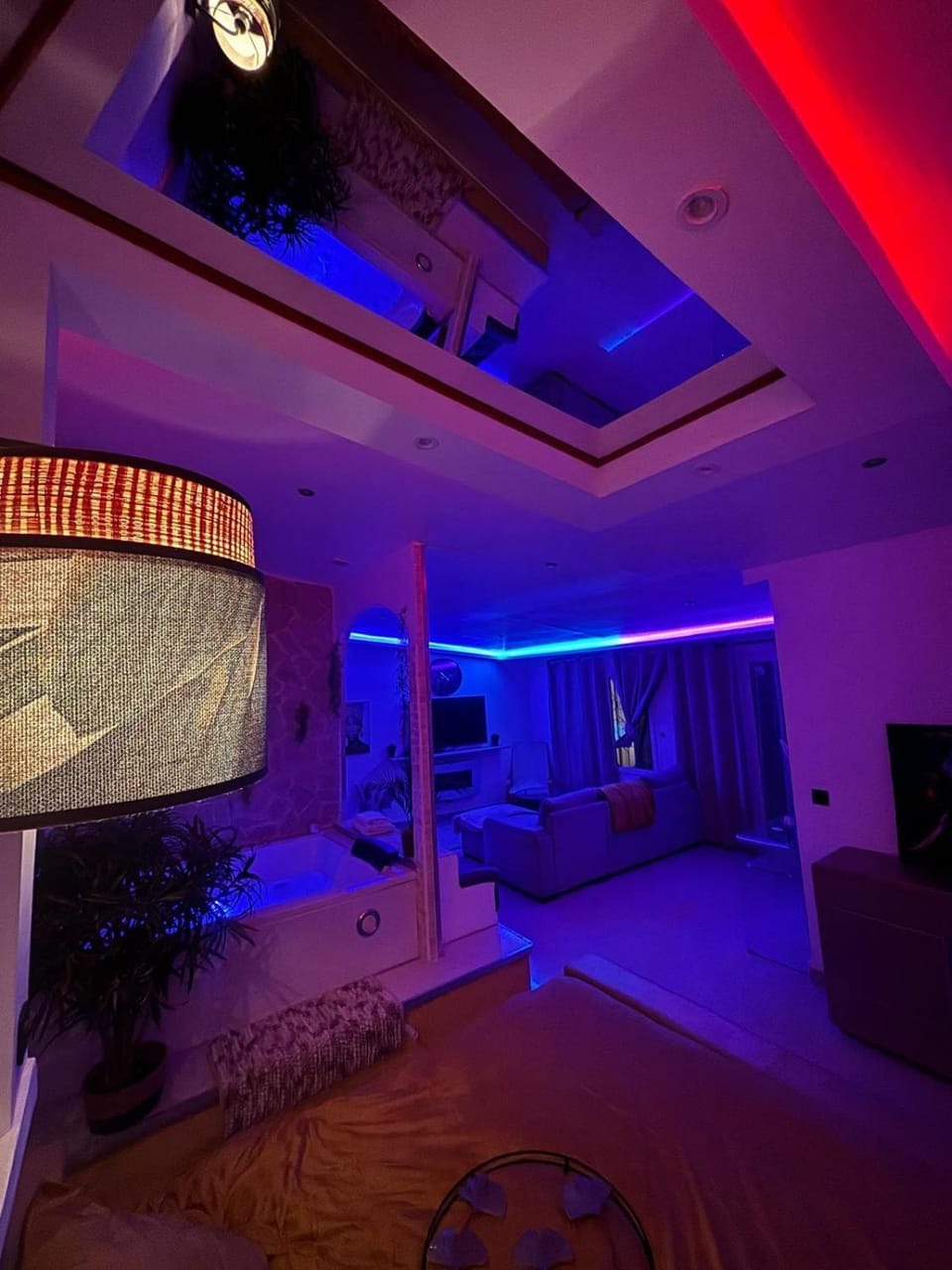 Communal lounge/ TV room, Living room