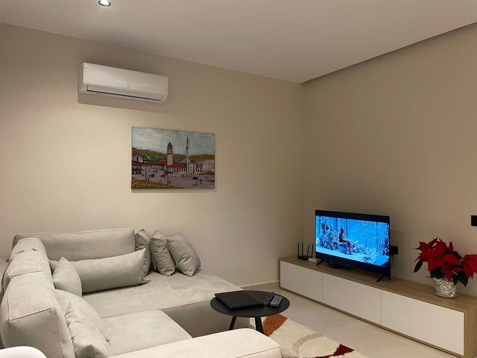 TV and multimedia, Living room, Seating area, air conditioner