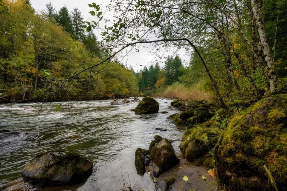 Stay Portland - Sandy Riverfront Mt Hood Cabin! 9 Queen Beds! Cabin in Welches