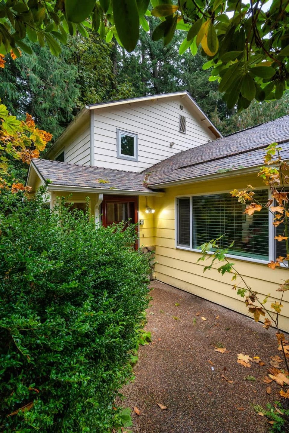 Property building, Garden, Garden view