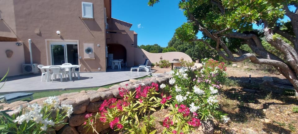Patio, Garden, Garden, Dining area, Garden view