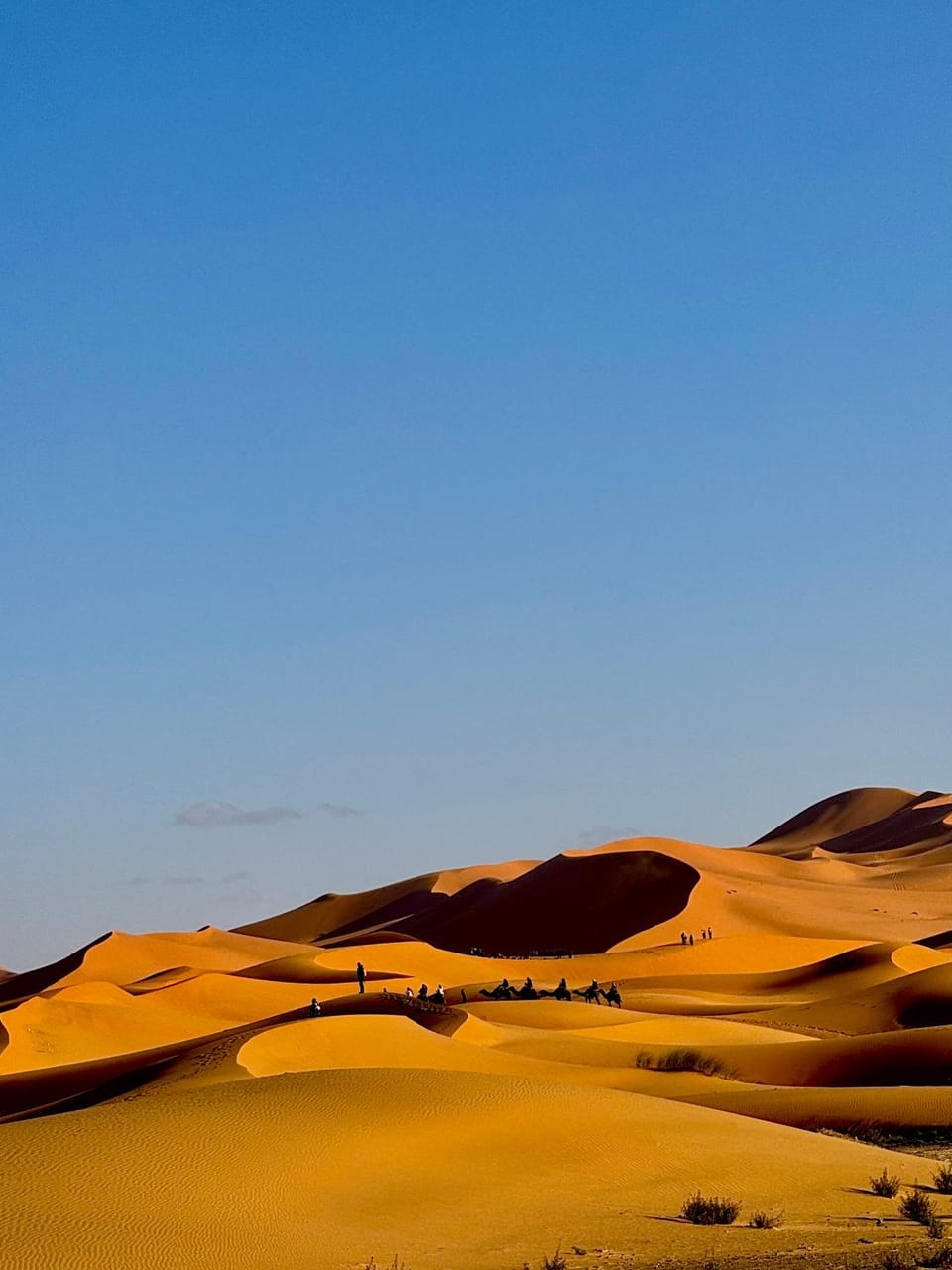 SANDSTAR LUXURIOUS CAMP air-conditioned Luxury tent in Morocco