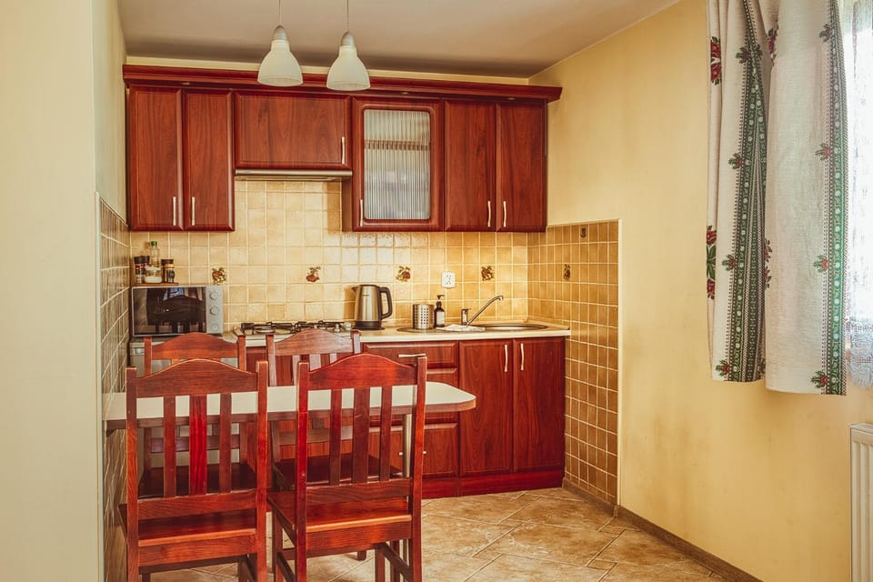 Kitchen or kitchenette, Dining area, oven, stove