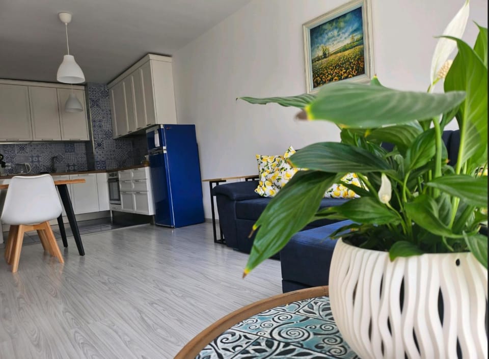 Boutique Apartment blue 3 Apartment in Plovdiv