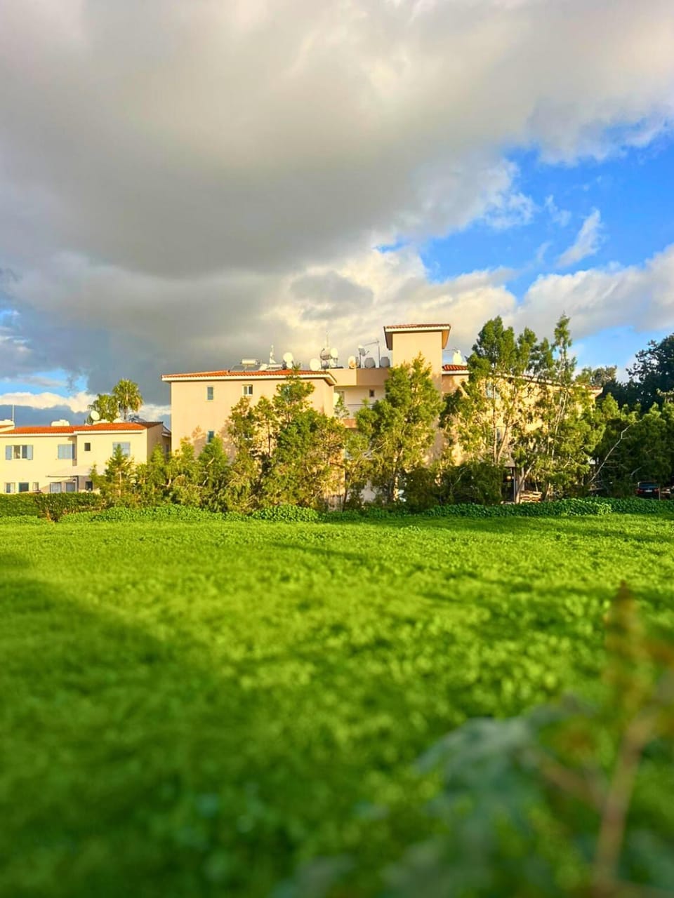 Property building, Spring, Day, Natural landscape, Garden, Garden view