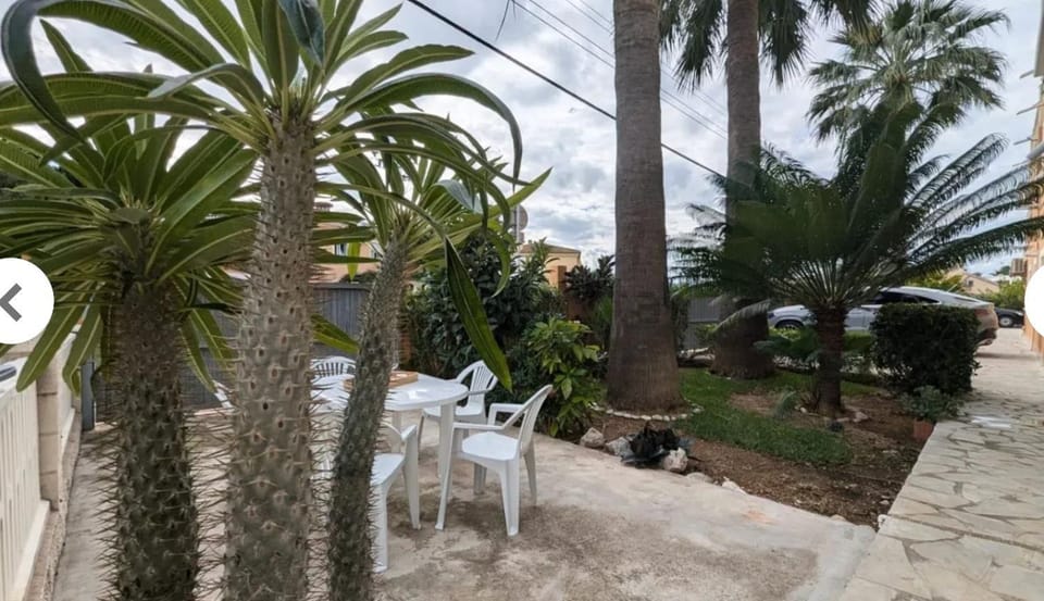 Garden view