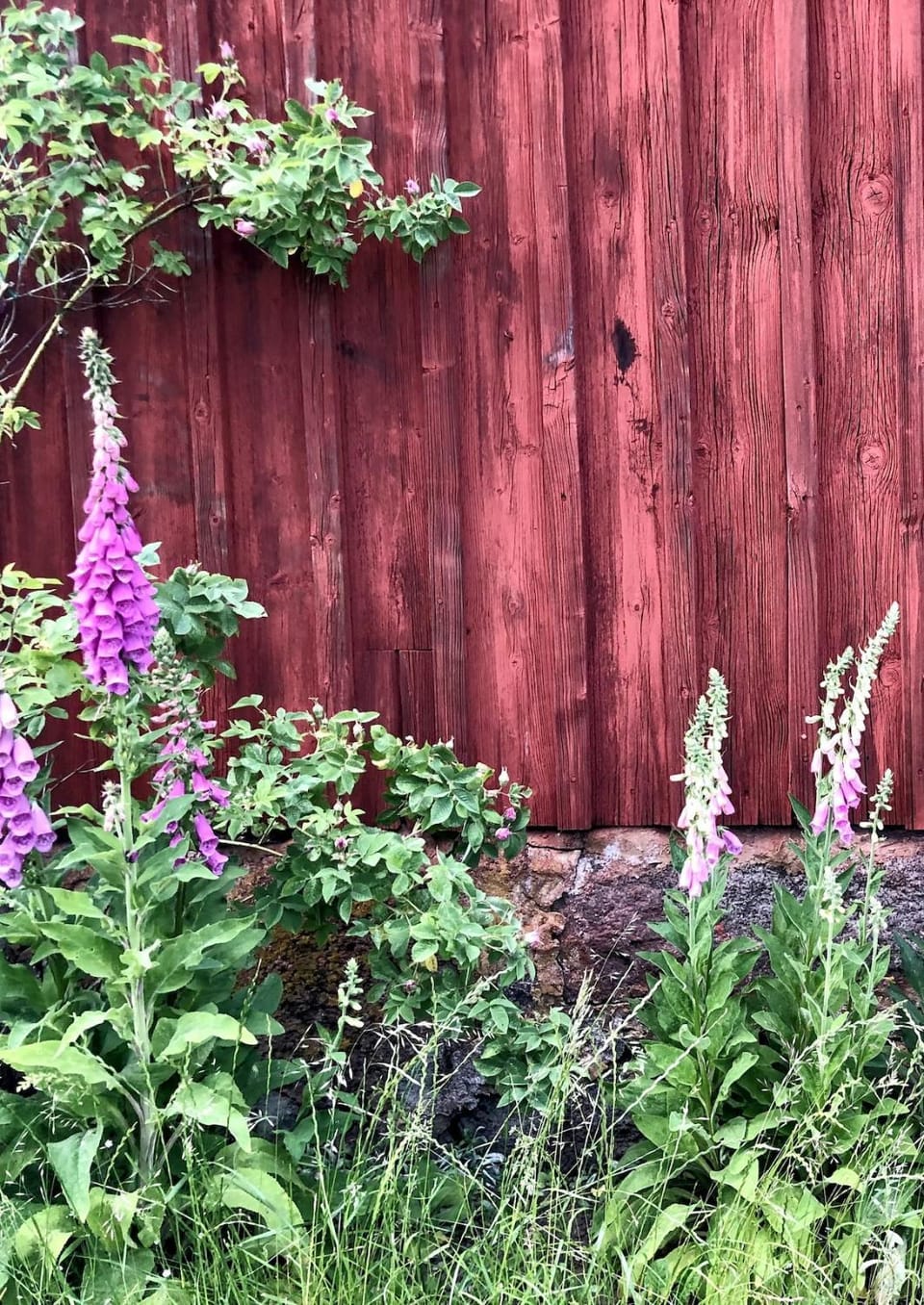 Beautiful farm in the heart of Smaland Villa in Sweden