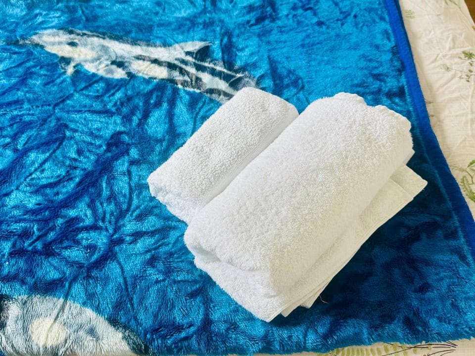 Landscape Haven Room Vacation rental in Dublin