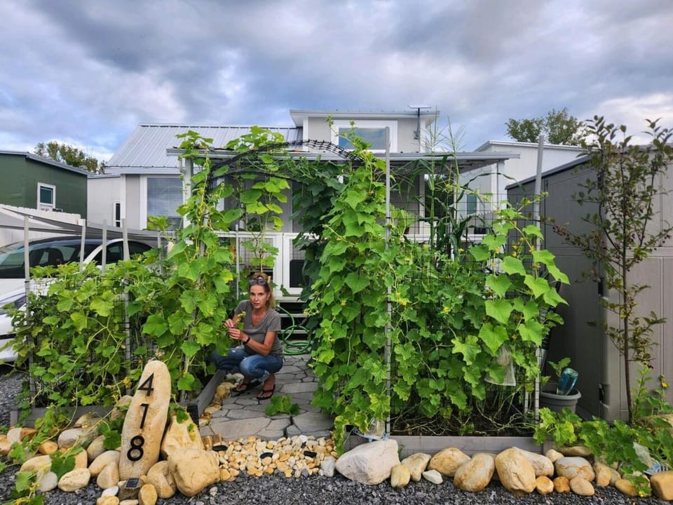 People, Garden