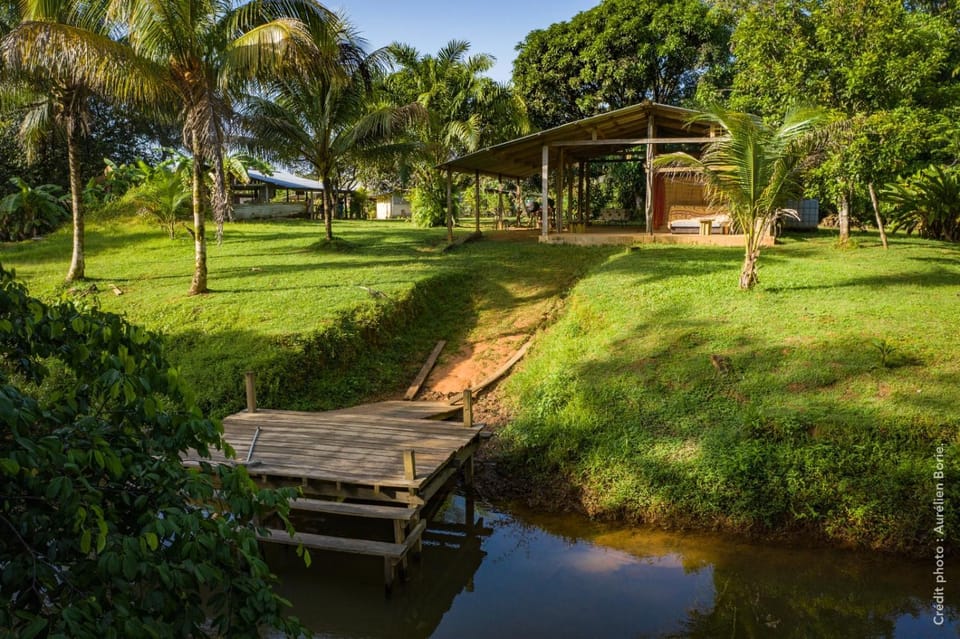 Day, Natural landscape, Garden, Garden view