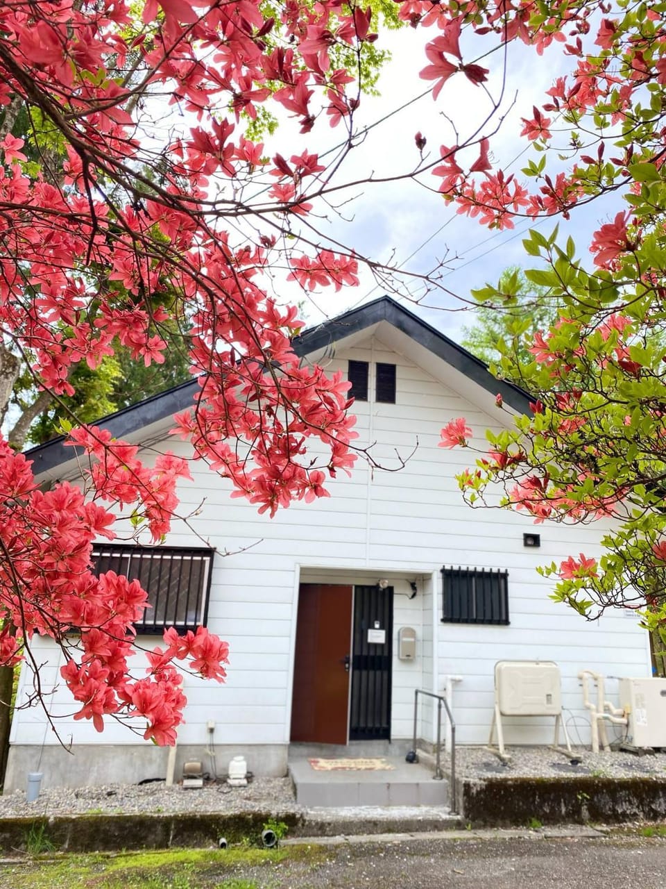 Safa's Guest House Bed and Breakfast in Japan