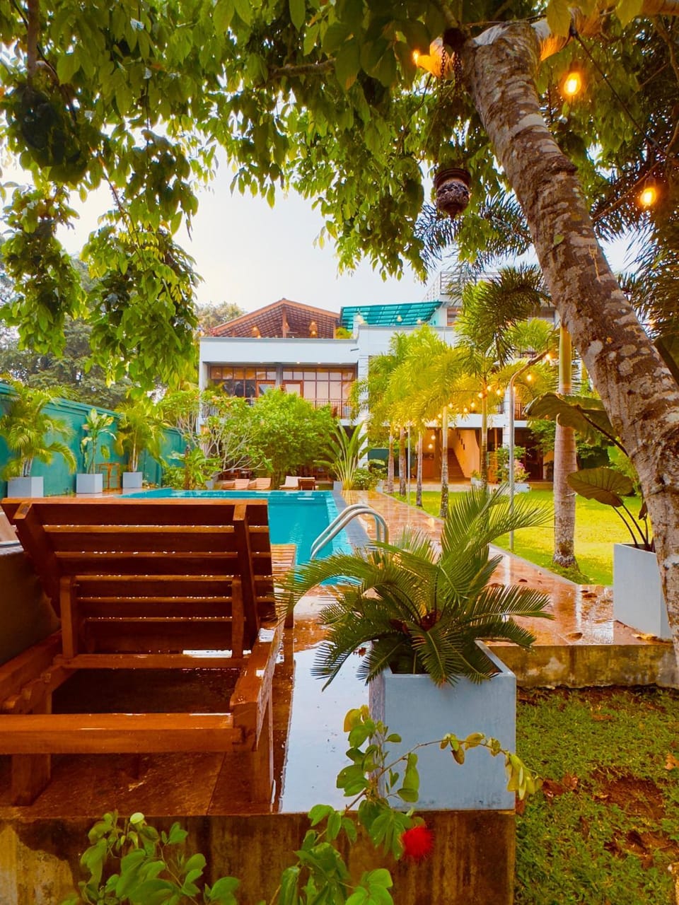 Spring, Day, Garden, Garden view, Pool view, Swimming pool, sunbed