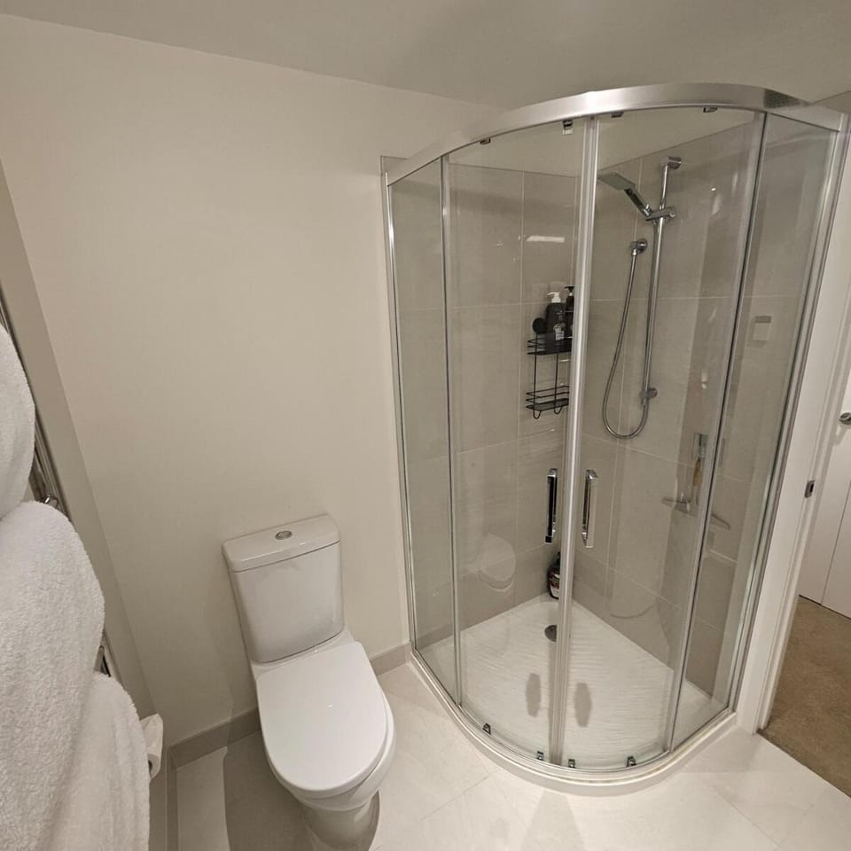 Shower, Toilet, Bathroom, towels