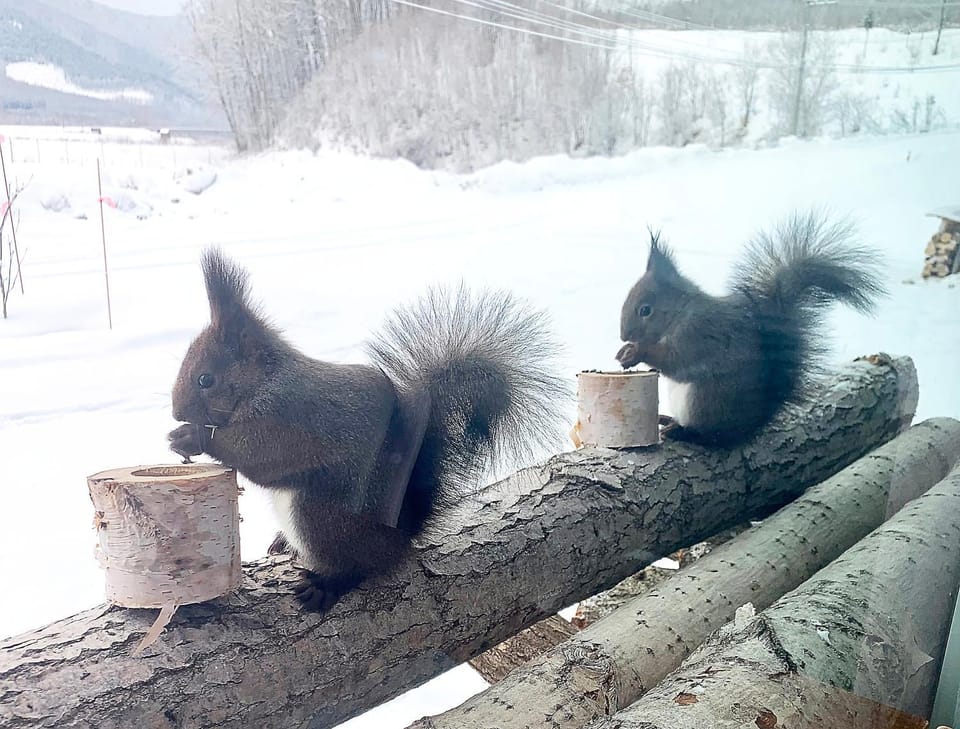 Winter