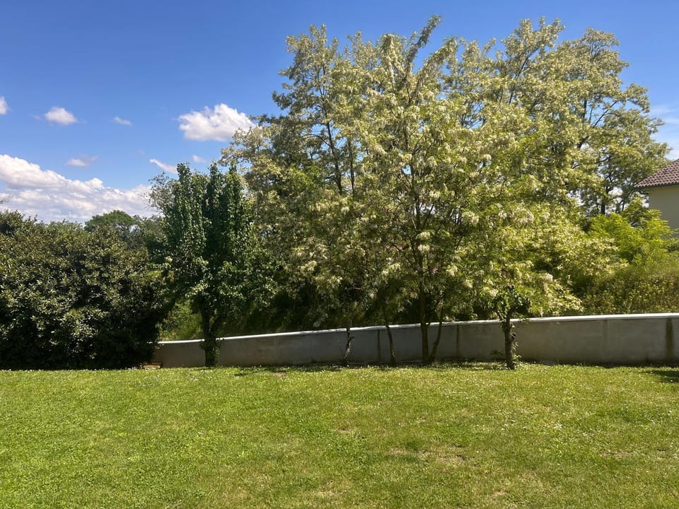 Natural landscape, Garden view